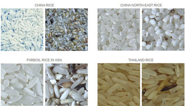 El arroz de la buena calidad y del precio razonable colorea la máquina del clasificador